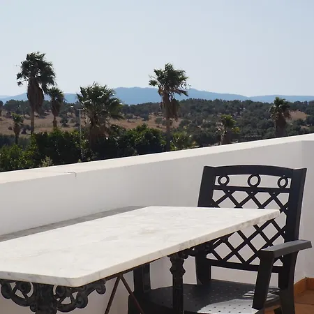 La Palmosa 3*