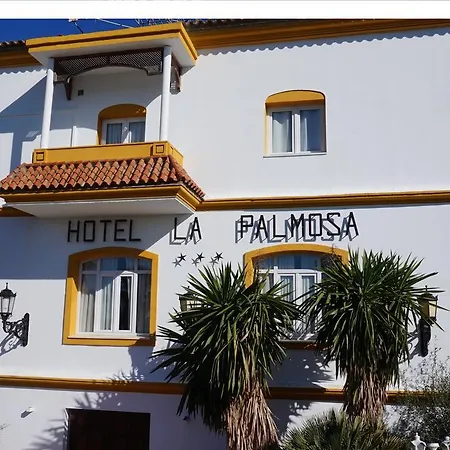 Hotel La Palmosa 3*