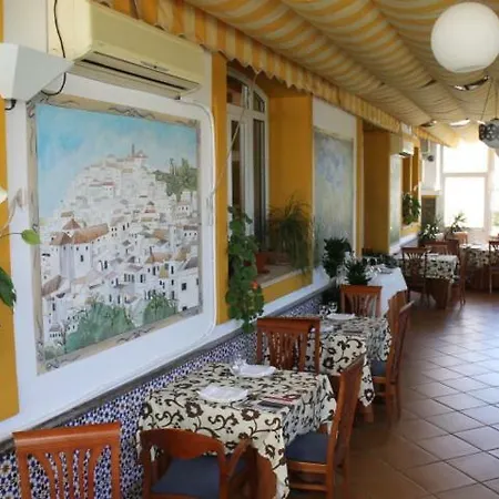 Hotel La Palmosa 3*